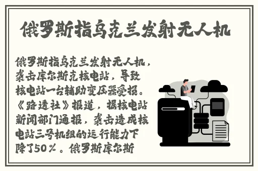 欧码的xl是亚洲码京东视频